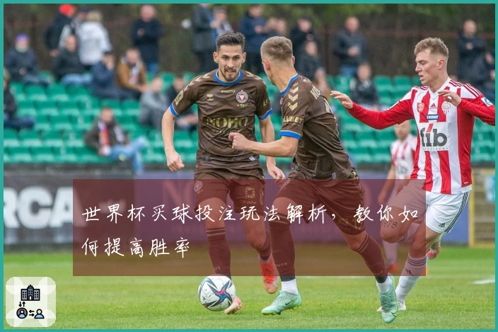 世界杯买球投注玩法解析，教你如何提高胜率