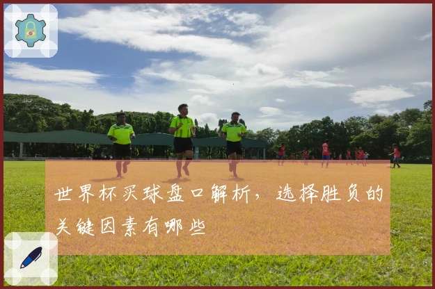 世界杯买球盘口解析，选择胜负的关键因素有哪些