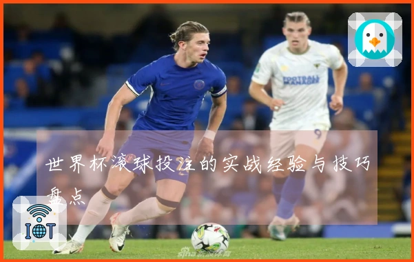 世界杯滚球投注的实战经验与技巧盘点