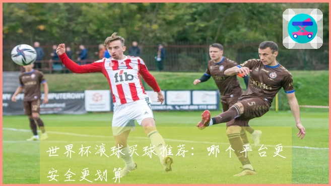 世界杯滚球买球推荐：哪个平台更安全更划算