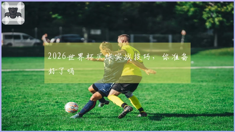 2026世界杯买球实战技巧，你准备好了吗